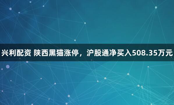 兴利配资 陕西黑猫涨停，沪股通净买入508.35万元