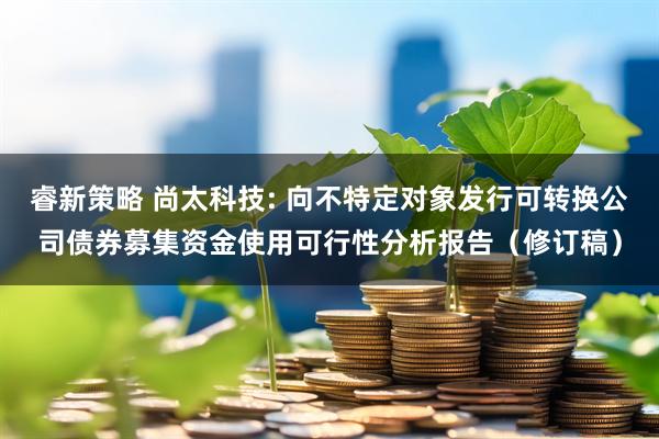 睿新策略 尚太科技: 向不特定对象发行可转换公司债券募集资金使用可行性分析报告（修订稿）